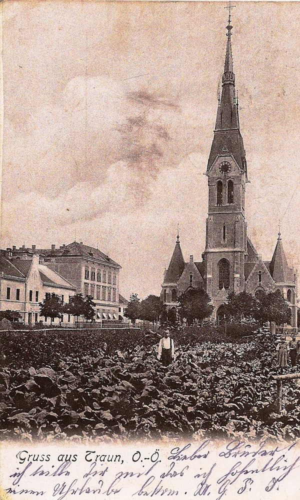 1917 Krautfeld vor der Kirche. Während des 1. Weltkrieges wurde der Platz zum Anbau vom Kraut genützt. - 