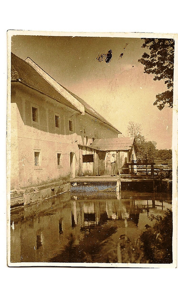 Die Dorn-Mühle in St. Dionysen war eine der 8 Trauner Getreidemühle am Mühlbach. - 